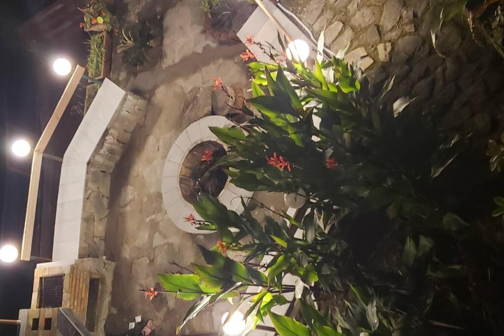 Kasauli Cascade A Cheerfull 4 Bedroom Challet Exterior photo
