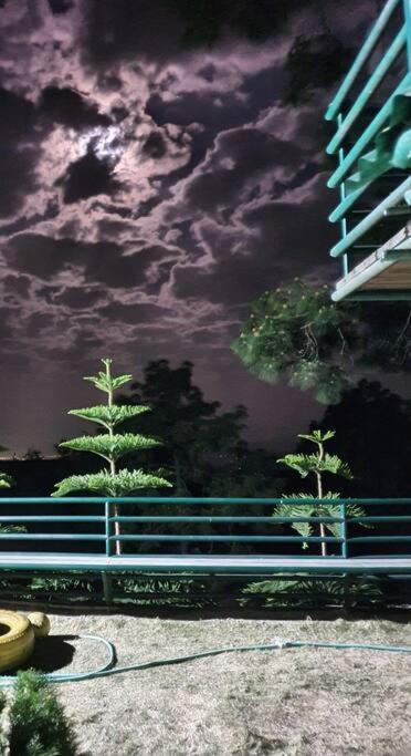 Kasauli Cascade A Cheerfull 4 Bedroom Challet Exterior photo