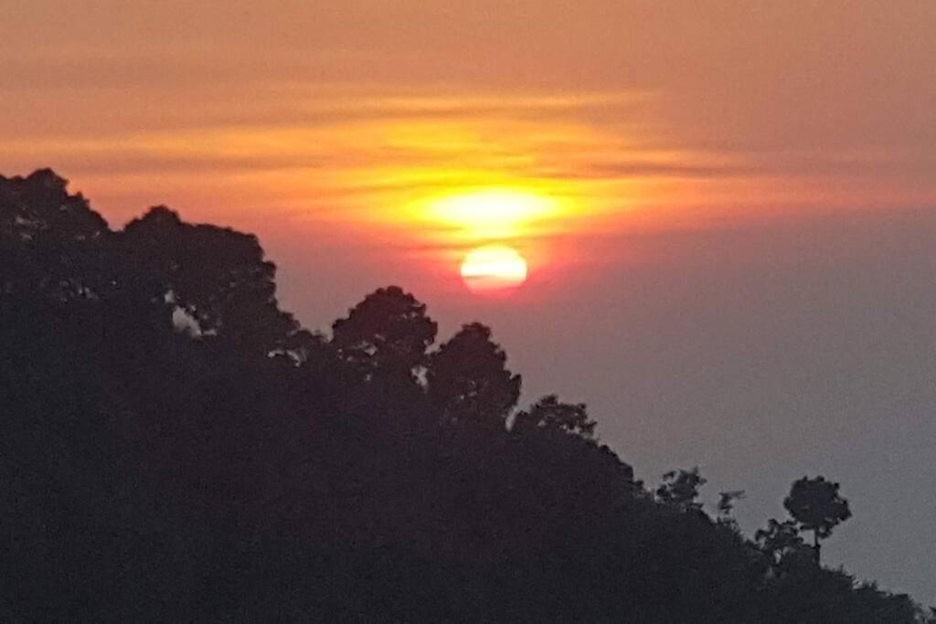 Kasauli Cascade A Cheerfull 4 Bedroom Challet Exterior photo