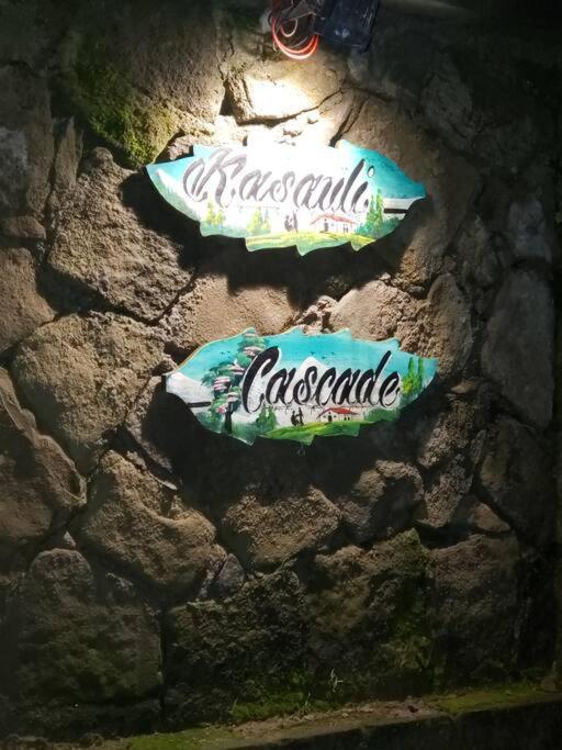 Kasauli Cascade A Cheerfull 4 Bedroom Challet Exterior photo