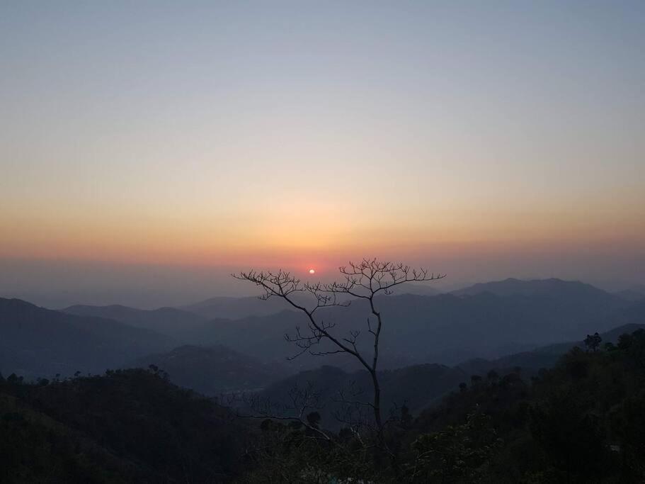 Kasauli Cascade A Cheerfull 4 Bedroom Challet Exterior photo